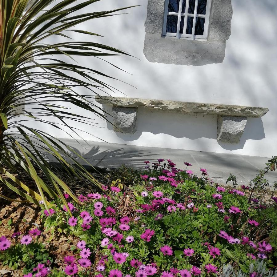Maison D'Hotes Villa Xaran Erdian Espelette Luaran gambar